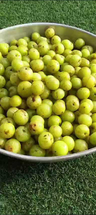 Antara Wellness Centre - Image 4